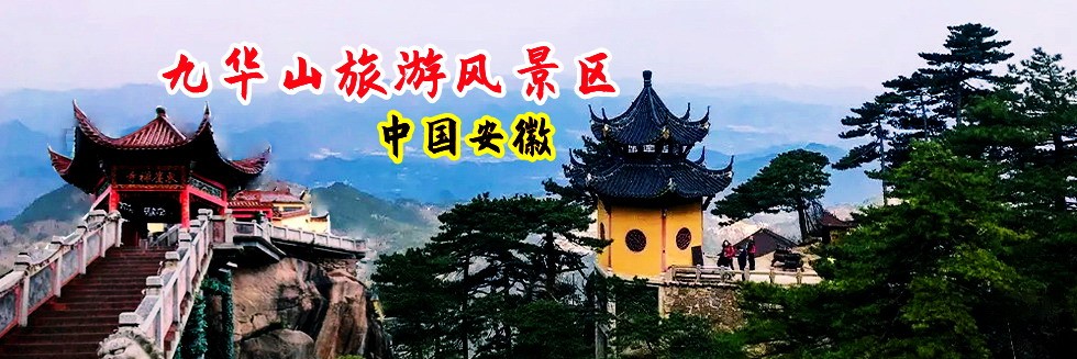 两棵JB操一个嫩B